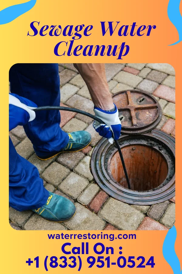 Sewage Water Cleanup in Moody AFB, GA